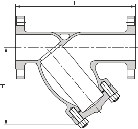 5A雙相鋼Y型過濾器